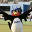つば九郎のプロフィール画像