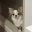 ゆみのプロフィール画像