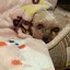 yukoのプロフィール画像