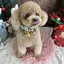 mayaのプロフィール画像