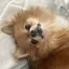 HARUのプロフィール画像