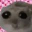 ゆのプロフィール画像