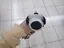 ahyruのプロフィール画像