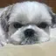 mのプロフィール画像