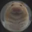 ぽのプロフィール画像