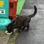 あいりのプロフィール画像