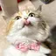 わかなのプロフィール画像