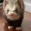 ゆちゃんのプロフィール画像