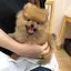 sakiのプロフィール画像