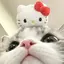 Rionのプロフィール画像