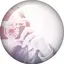 Noriのプロフィール画像