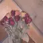 🥀のプロフィール画像