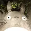 とろろのプロフィール画像