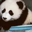 はるのプロフィール画像