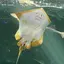 理恵のプロフィール画像