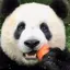 723のプロフィール画像