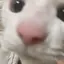 うのプロフィール画像