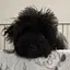 はるのプロフィール画像
