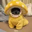 綾子のプロフィール画像