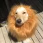 なっちゃんのプロフィール画像