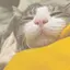綾菜のプロフィール画像