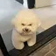 ミサキのプロフィール画像