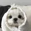 Rinoのプロフィール画像