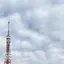 ひのプロフィール画像