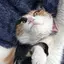MMのプロフィール画像