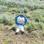 しょのプロフィール画像