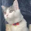 ゆずのプロフィール画像
