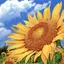 ひまわり🌻のプロフィール画像