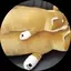 ボブちんのプロフィール画像