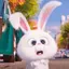 ちゃんまるのプロフィール画像
