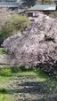 マサのプロフィール画像