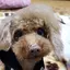 れおままのプロフィール画像