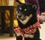 ksのプロフィール画像