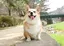 隆成のプロフィール画像