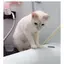 ゆうのプロフィール画像
