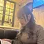 Erinaのプロフィール画像