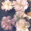 SOのプロフィール画像