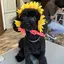 🥽のプロフィール画像