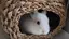 natsuのプロフィール画像