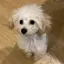 りなのプロフィール画像