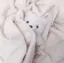 rinaのプロフィール画像