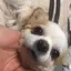 ゆうのプロフィール画像
