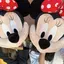依恋のプロフィール画像