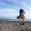 らーまるのプロフィール画像