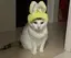 sのプロフィール画像