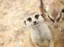 おもちのプロフィール画像